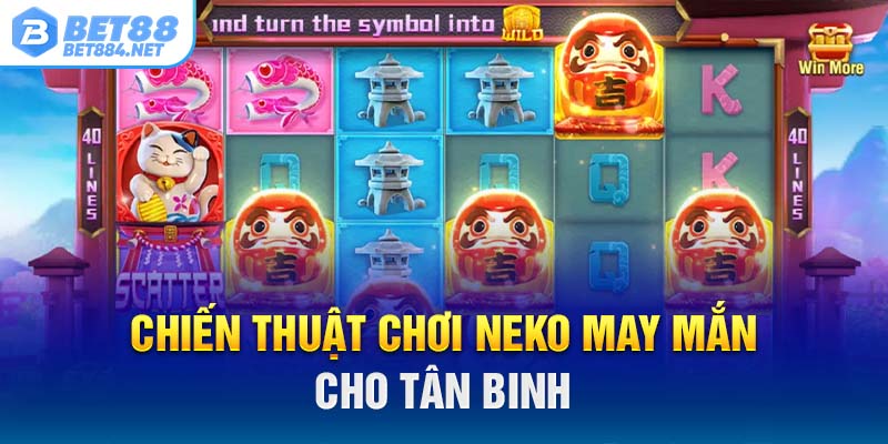 Chiến thuật chơi Neko may mắn cho tân binh